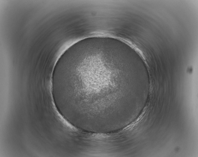 X0000096151239200801251057