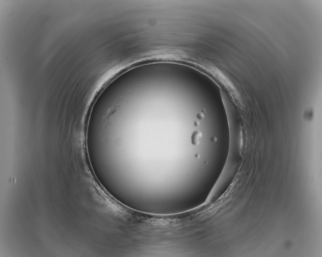 X0000096151240200801251057