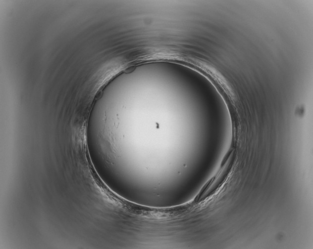 X0000096151241200801251057