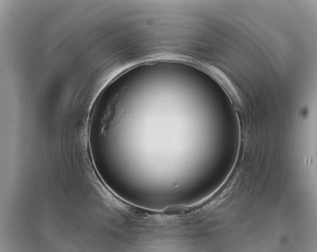 X0000096151244200801251057