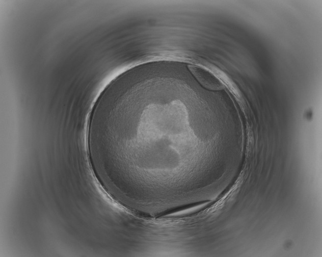 X0000096151246200801251057