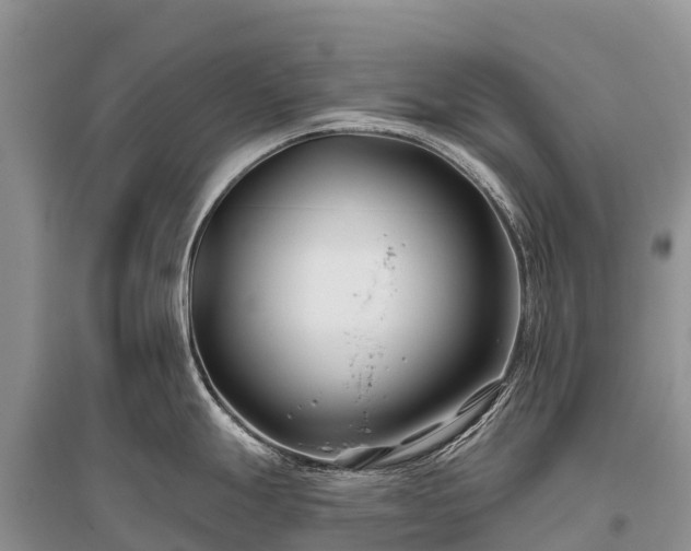 X0000096151247200801251057