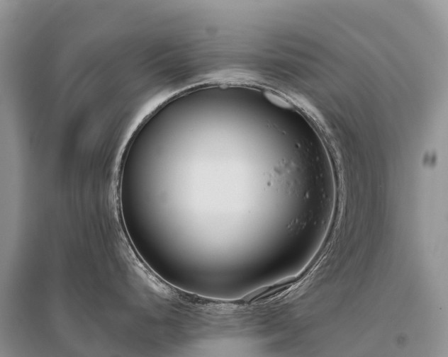 X0000096151248200801251057