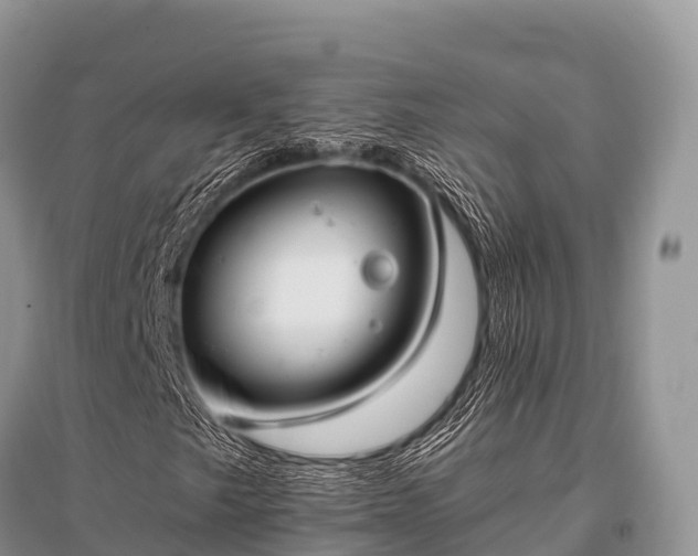 X0000096151249200801251056