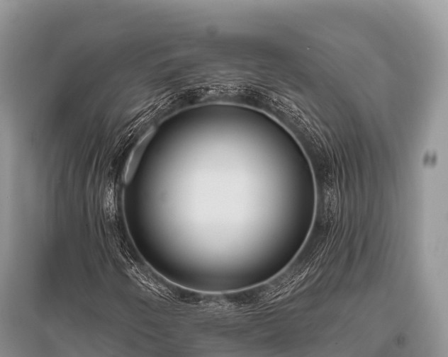 X0000096151250200801251056