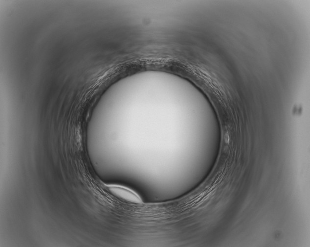 X0000096151252200801251056