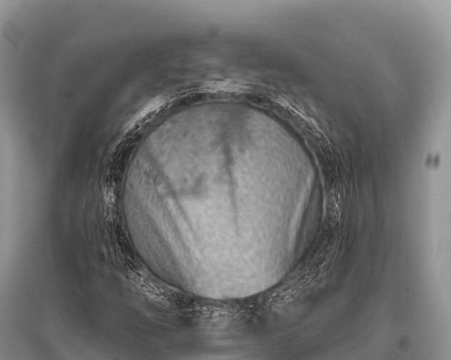 X0000096151254200801251056