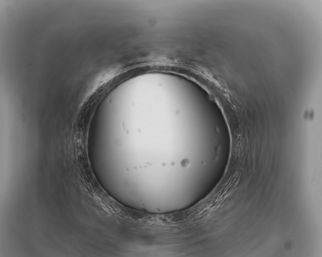 X0000096151255200801251056
