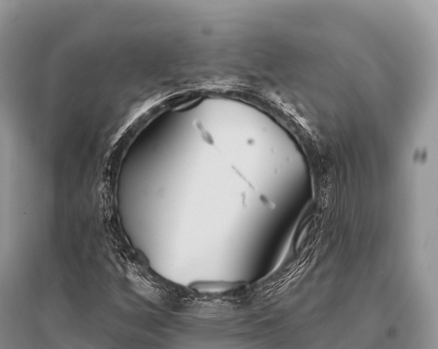 X0000096151256200801251056