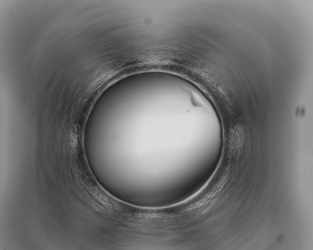 X0000096151257200801251056