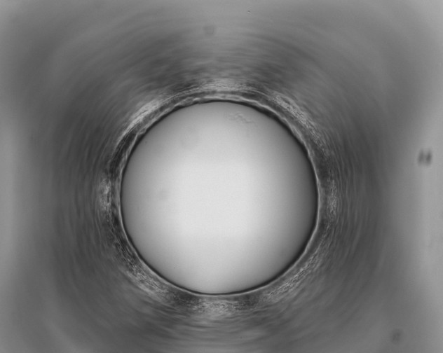 X0000096151258200801251056