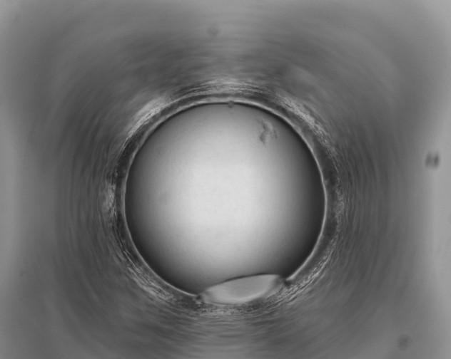 X0000096151259200801251056