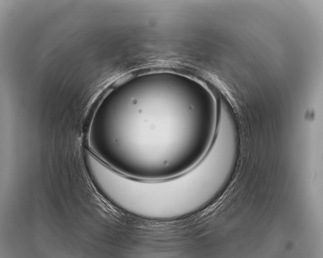 X0000096151260200801251056