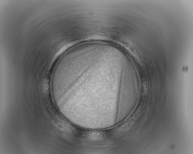 X0000096151266200801251056