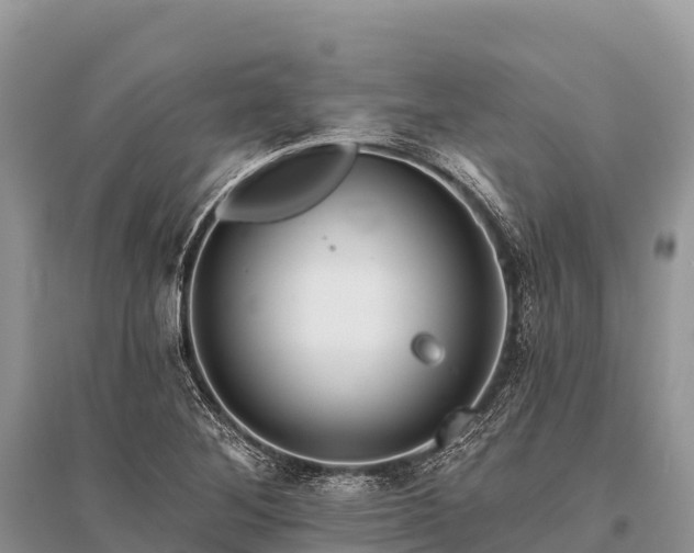 X0000096151268200801251056