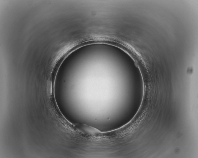 X0000096151269200801251056