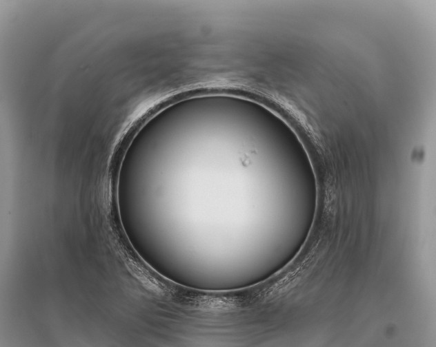 X0000096151270200801251056