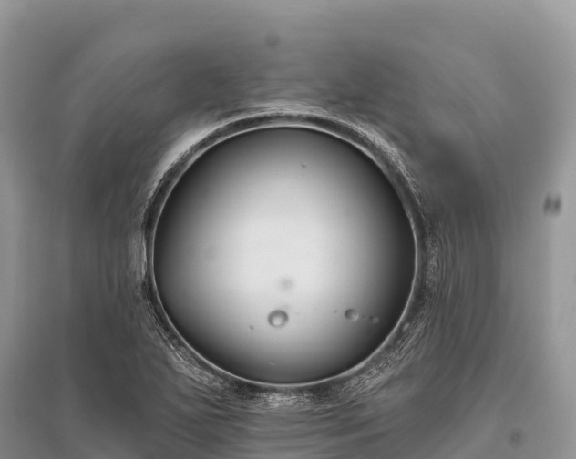 X0000096151271200801251056