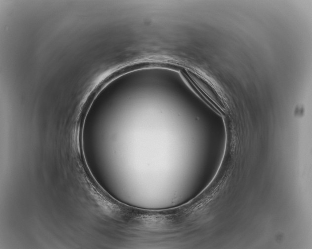 X0000096151272200801251056
