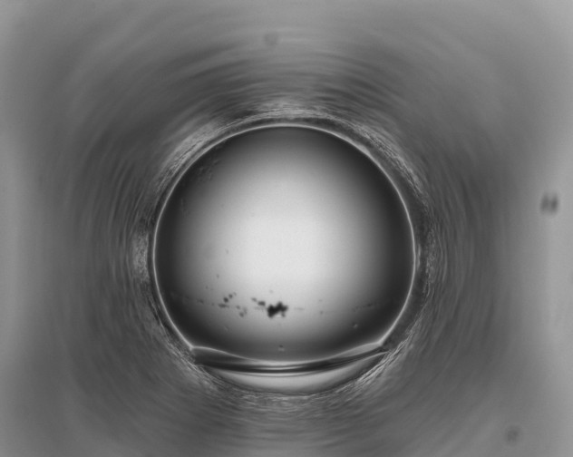 X0000096151273200801251056