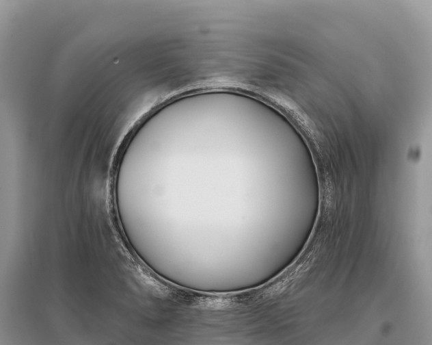 X0000096151278200801251056