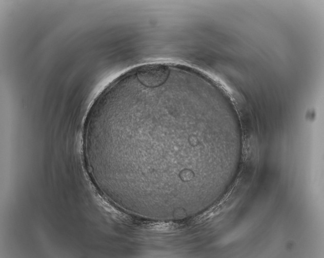 X0000096151279200801251056