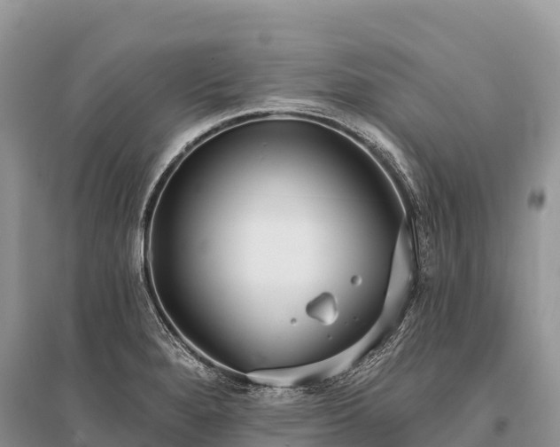 X0000096151280200801251056