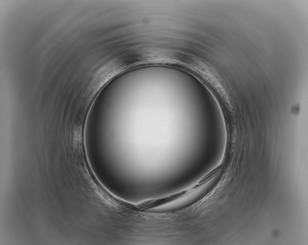 X0000096151281200801251056