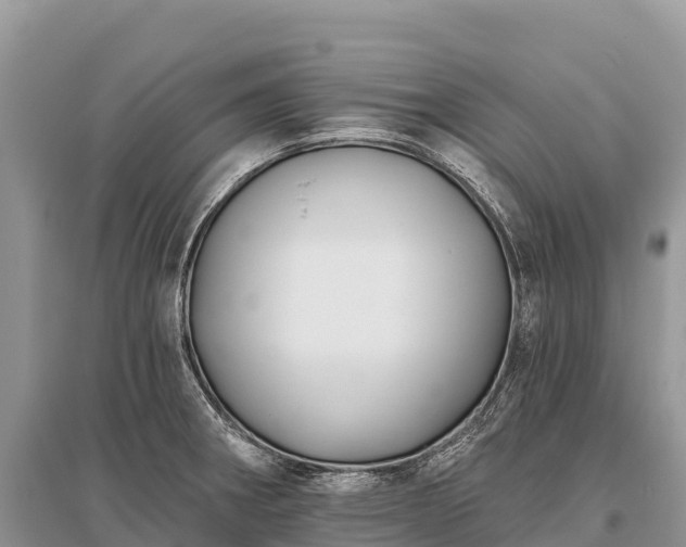 X0000096151282200801251056
