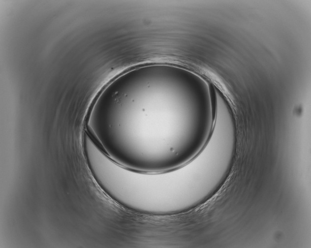 X0000096151284200801251056