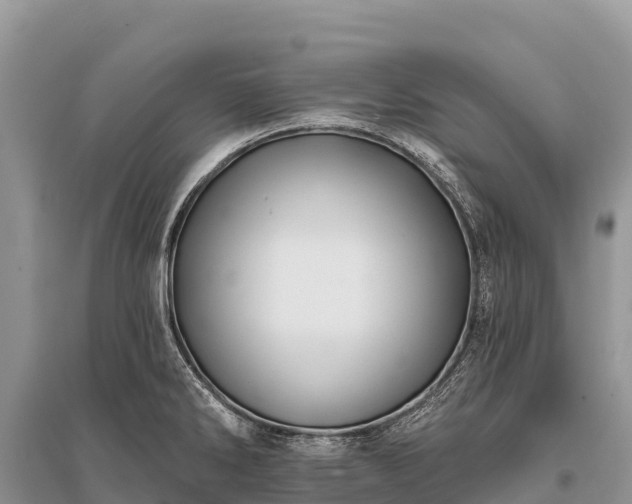X0000096151286200801251056