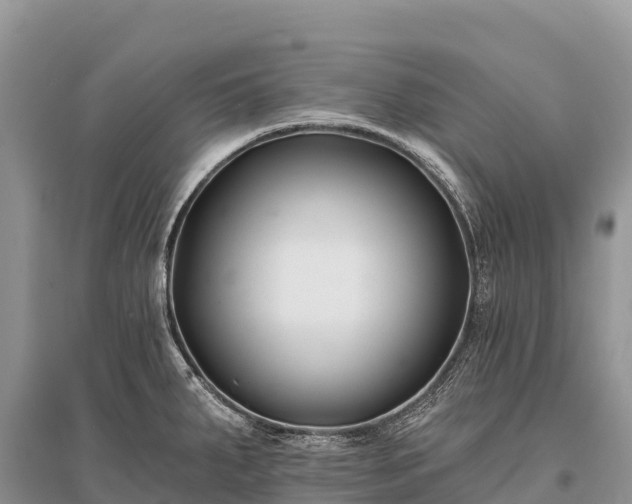 X0000096151287200801251056