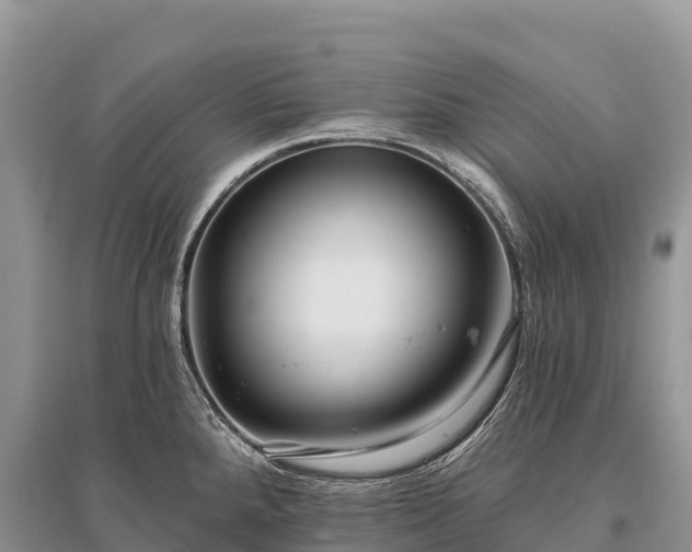 X0000096151288200801251056