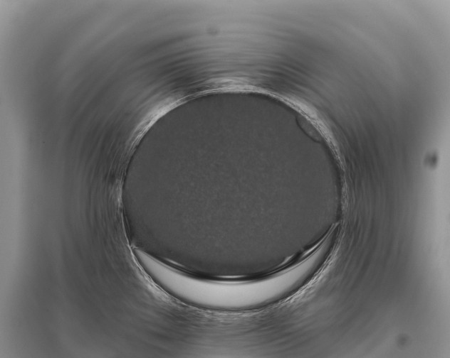 X0000096151289200801251056