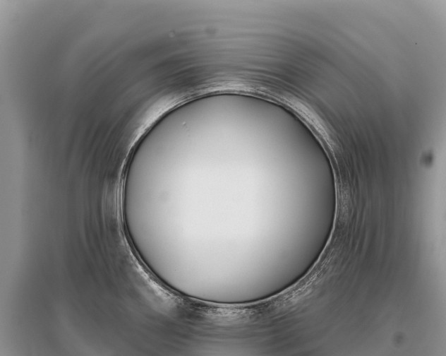 X0000096151290200801251056