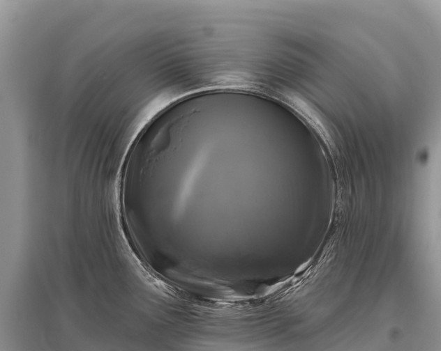 X0000096151291200801251056
