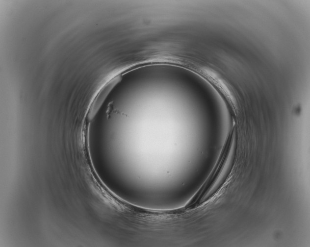 X0000096151292200801251056