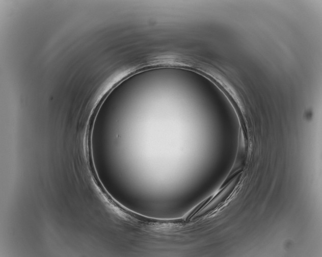 X0000096151293200801251056