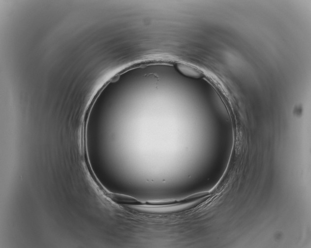 X0000096151295200801251056