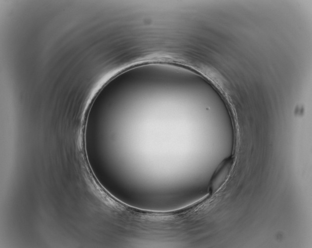 X0000096151296200801251056