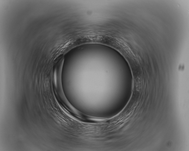 X0000096151298200801251055