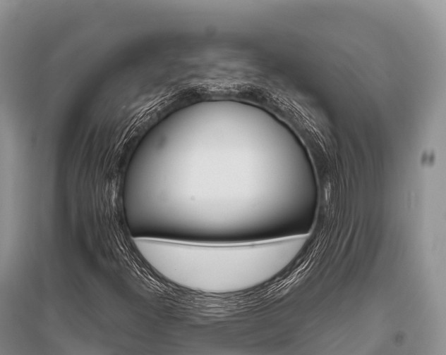 X0000096151300200801251055