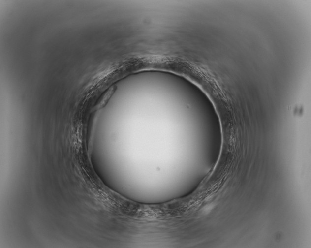 X0000096151301200801251055
