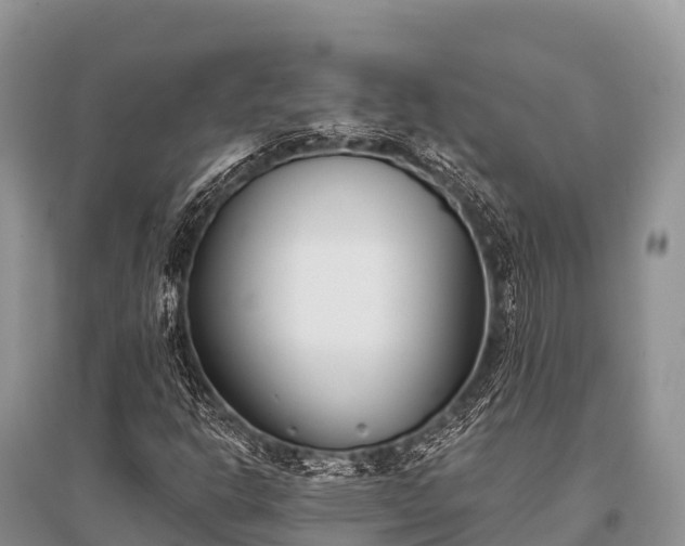 X0000096151302200801251055