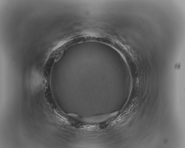 X0000096151303200801251055