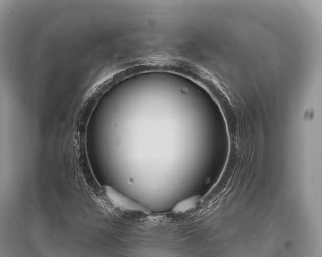 X0000096151304200801251055