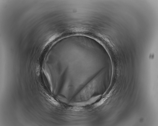 X0000096151306200801251055
