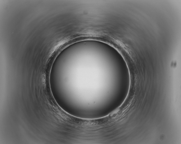 X0000096151307200801251055