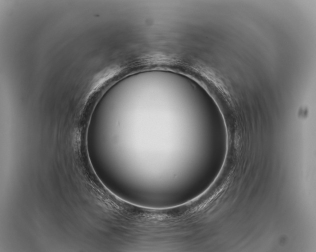 X0000096151309200801251055
