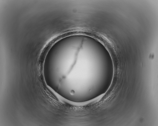 X0000096151310200801251055